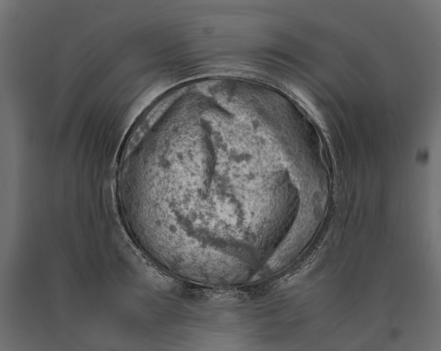 X0000090430899200708031127