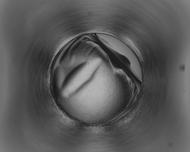 X0000090430900200708031126