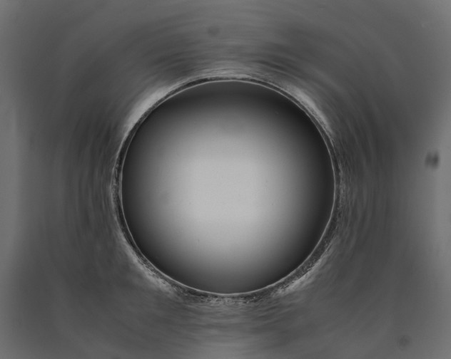 X0000090430901200708031126