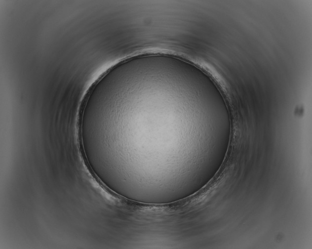 X0000090430902200708031126