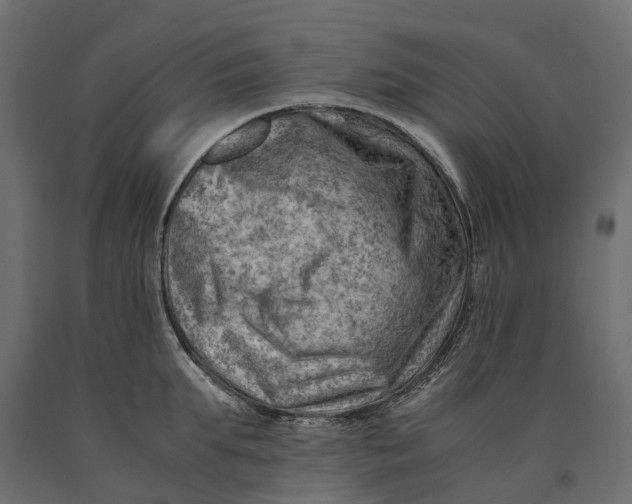 X0000090430903200708031126