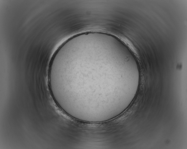X0000090430904200708031126