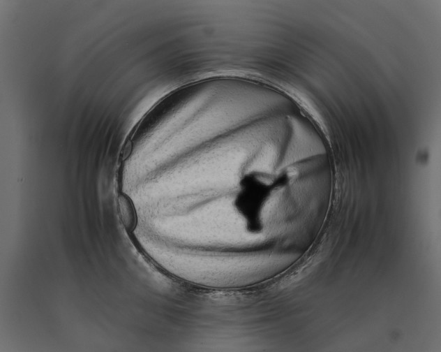 X0000090430906200708031126