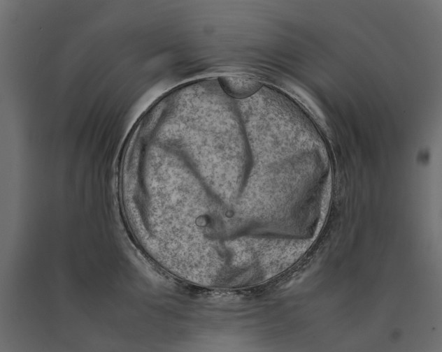 X0000090430907200708031126