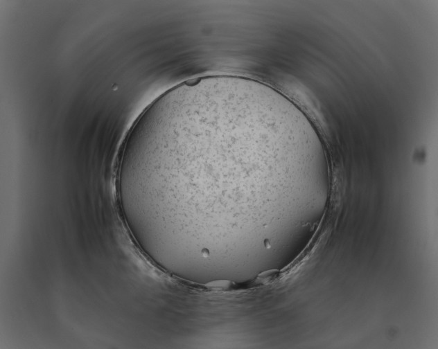 X0000090430908200708031126