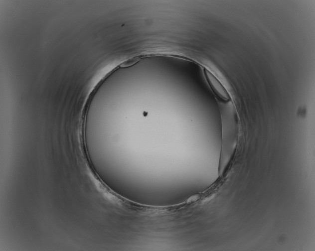 X0000090430909200708031126