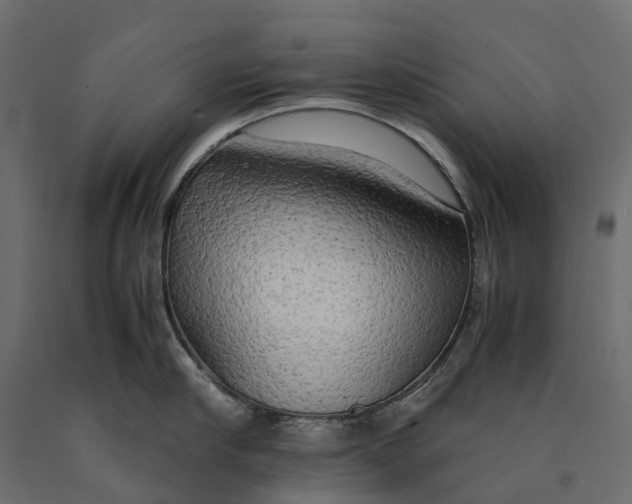 X0000090430910200708031126
