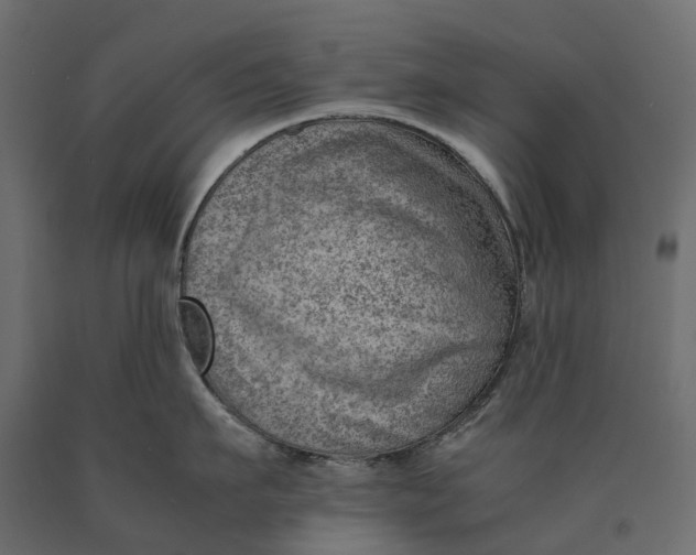 X0000090430911200708031126