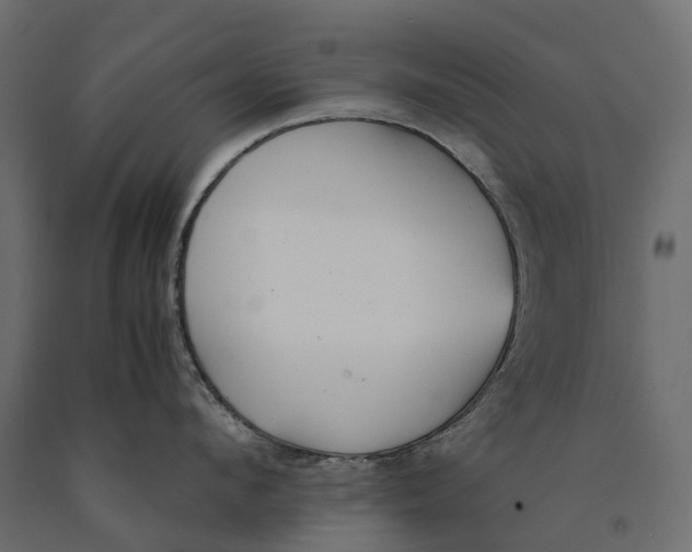 X0000090430912200708031126