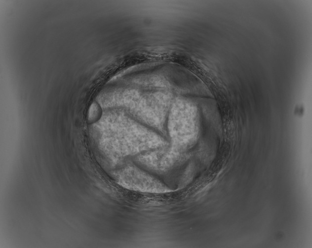 X0000090430913200708031125