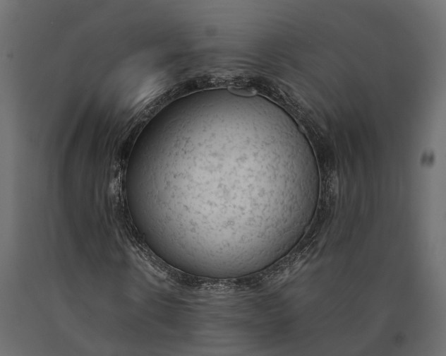 X0000090430914200708031125