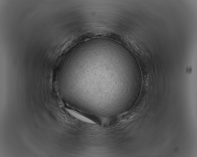 X0000090430916200708031126