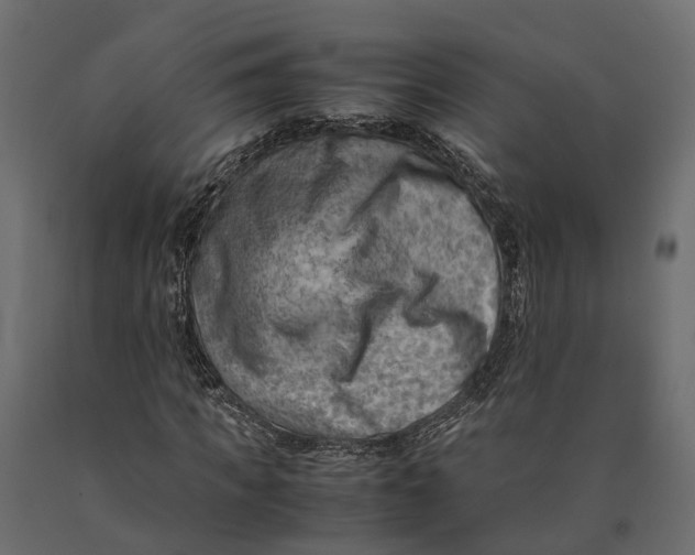 X0000090430917200708031126