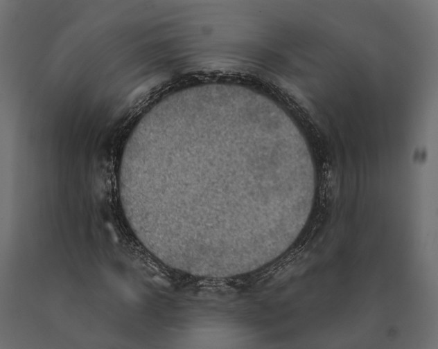 X0000090430918200708031126
