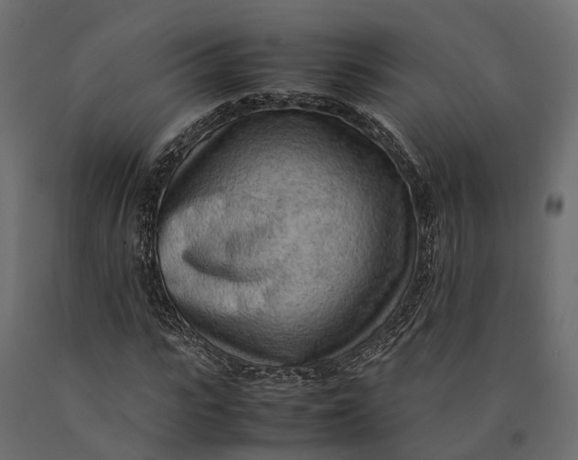 X0000090430919200708031126