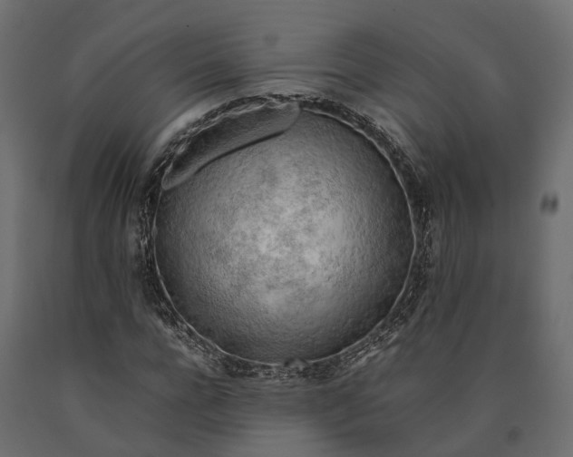 X0000090430920200708031126