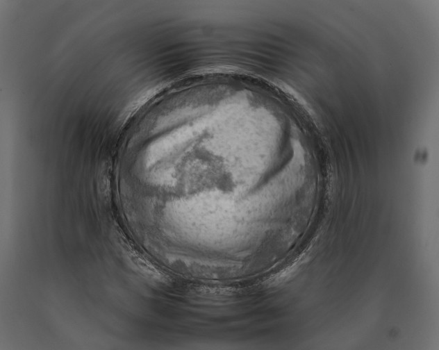 X0000090430921200708031126