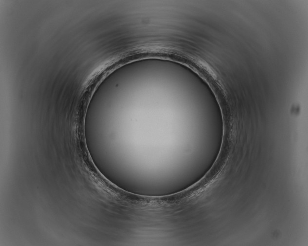 X0000090430922200708031126