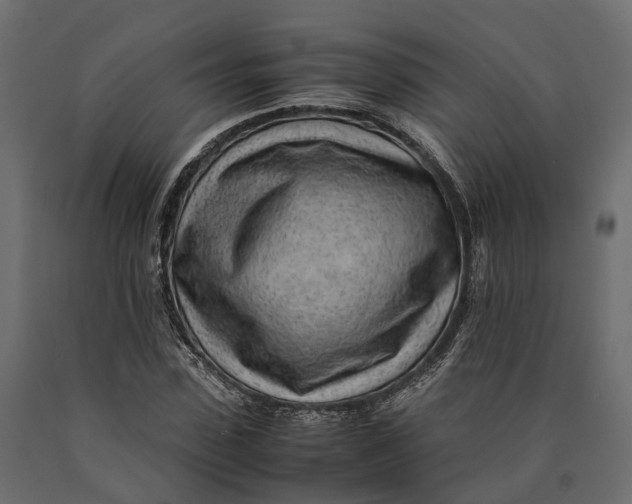 X0000090430923200708031126