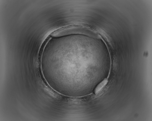 X0000090430924200708031126