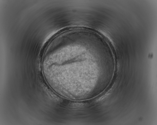 X0000090430925200708031126