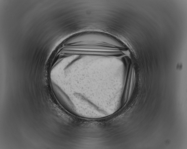 X0000090430926200708031126