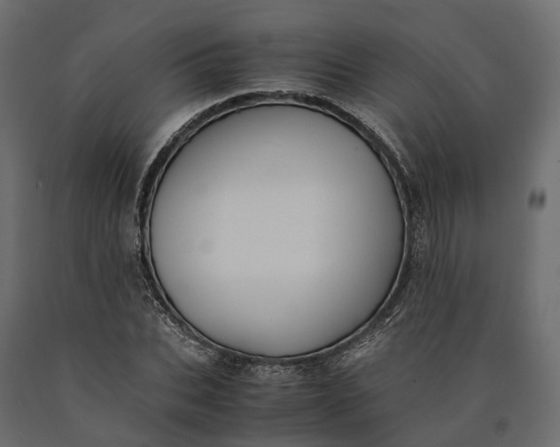 X0000090430927200708031126