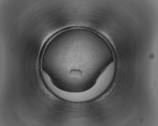 X0000090430928200708031126