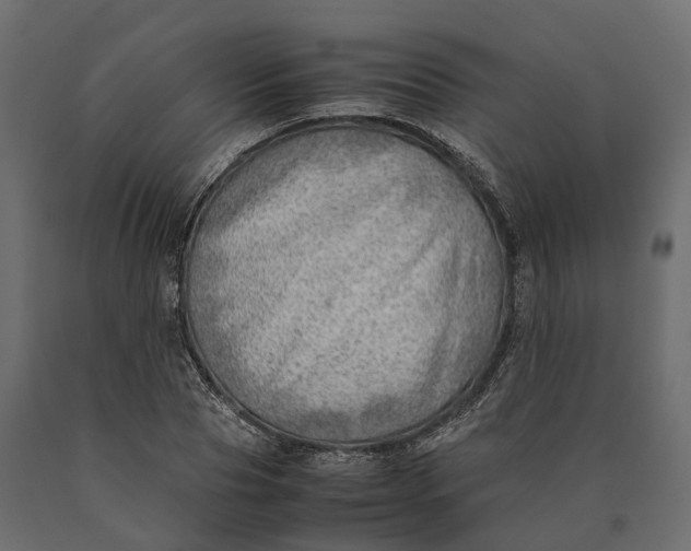 X0000090430929200708031126