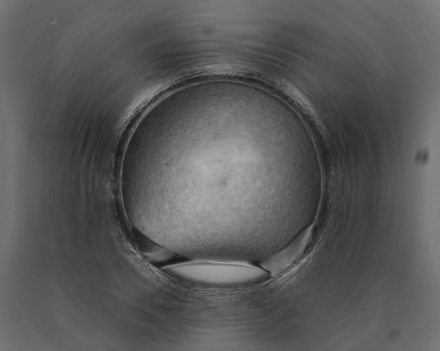 X0000090430930200708031126