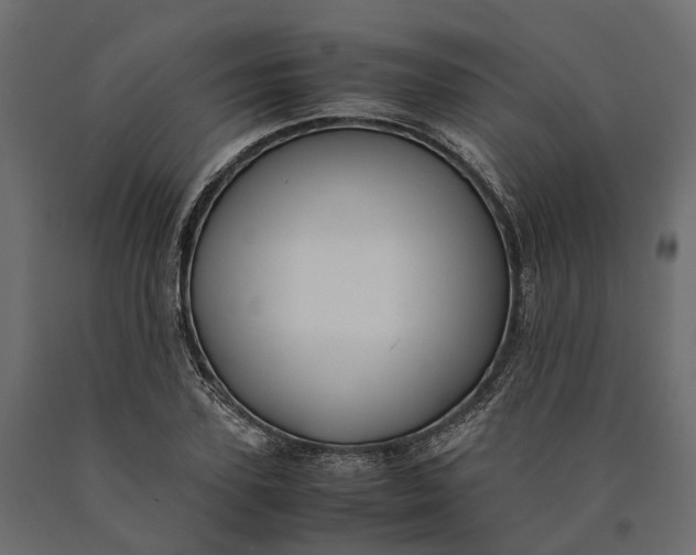 X0000090430931200708031126