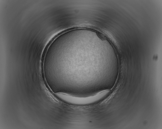 X0000090430932200708031126