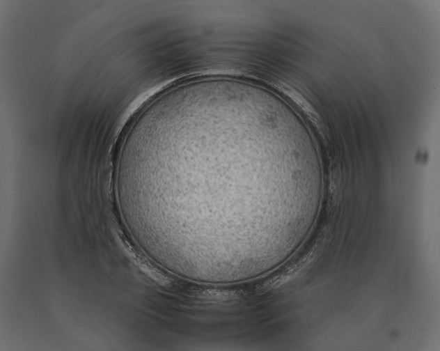 X0000090430933200708031126
