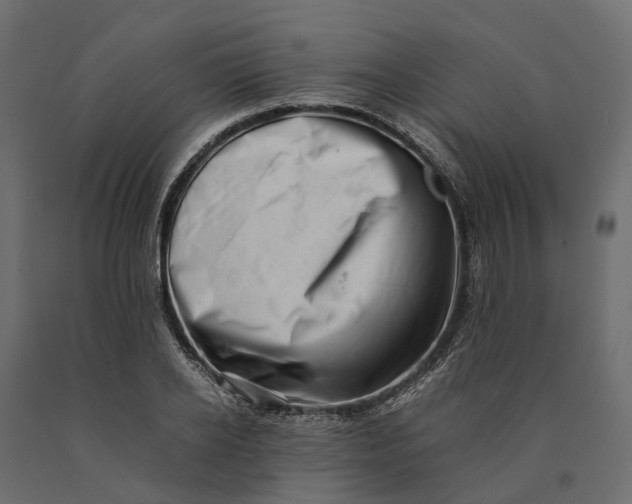 X0000090430934200708031126