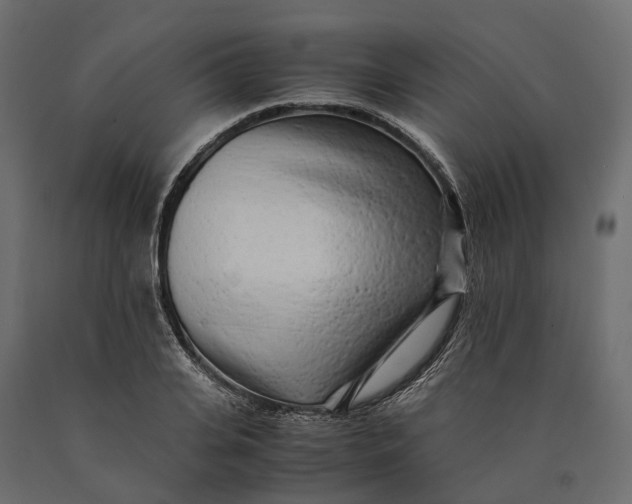 X0000090430935200708031126