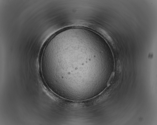 X0000090430936200708031126