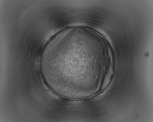X0000090430937200708031126
