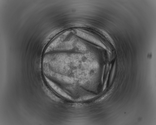 X0000090430938200708031126