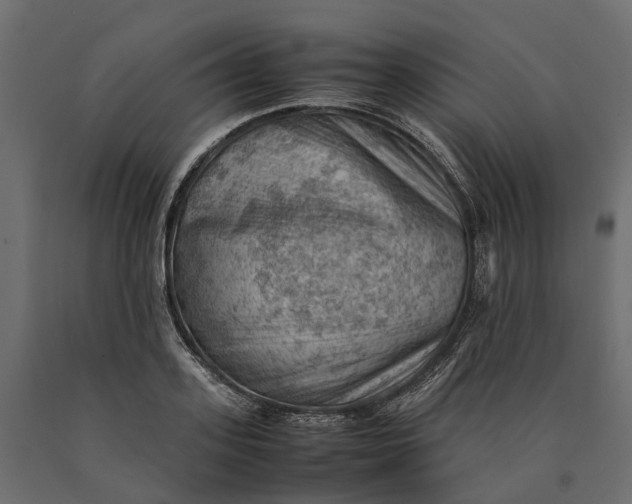 X0000090430939200708031126