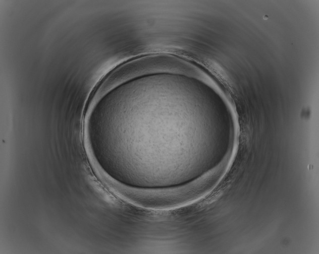 X0000090430940200708031126