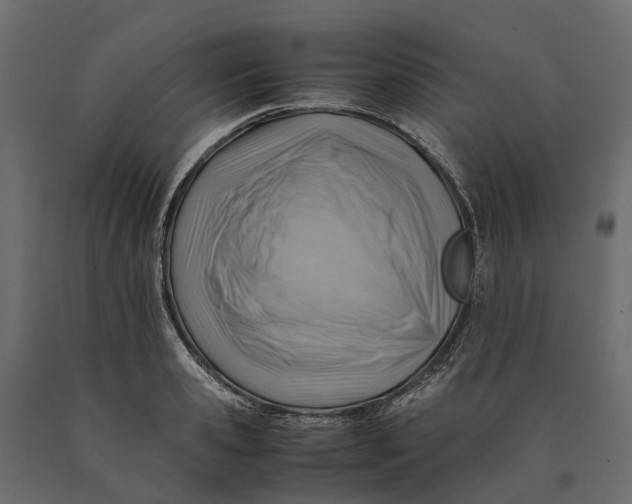 X0000090430941200708031126
