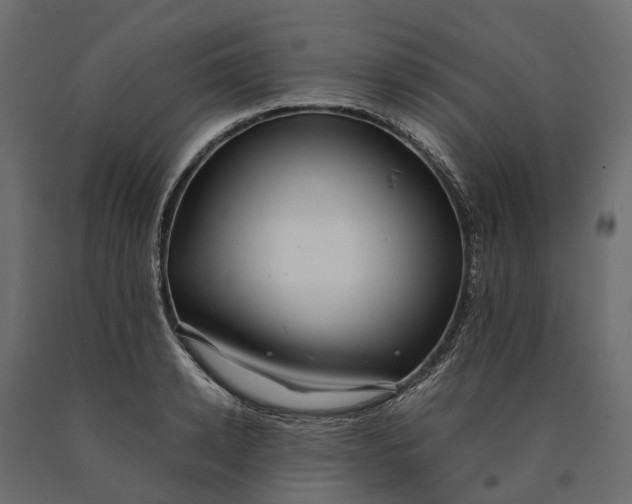 X0000090430942200708031126