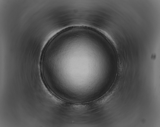X0000090430943200708031126