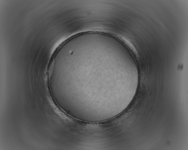 X0000090430944200708031126