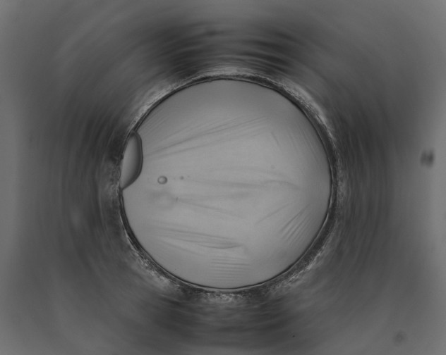 X0000090430945200708031126