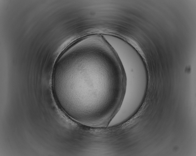 X0000090430946200708031126