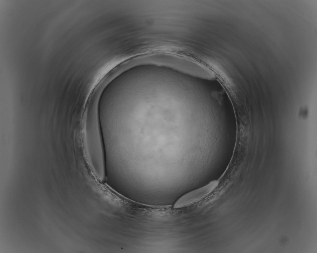 X0000090430948200708031126