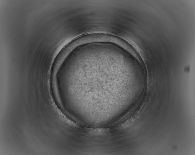 X0000090430949200708031126