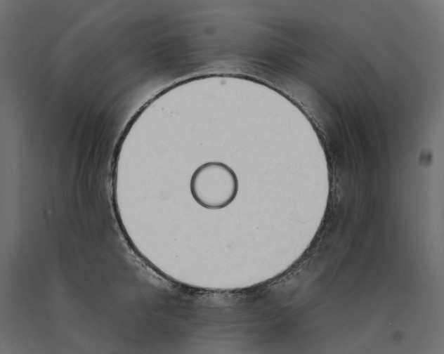 X0000090430950200708031126