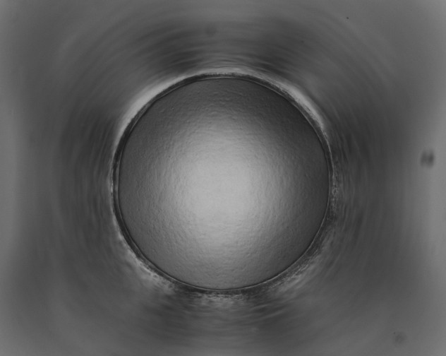 X0000090430951200708031126